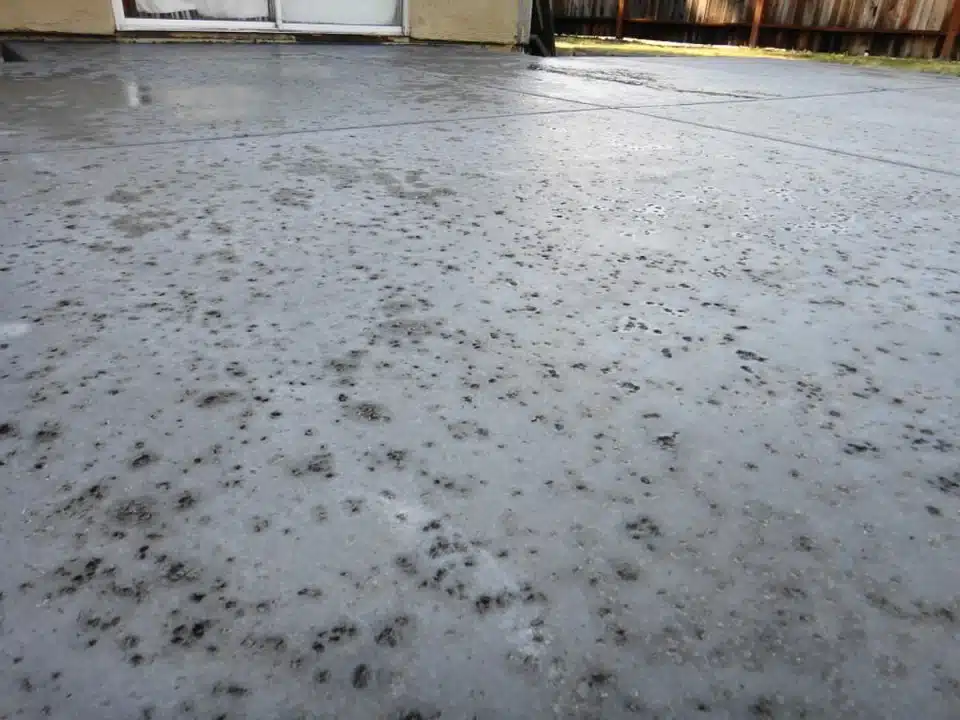 Salt finished concrete