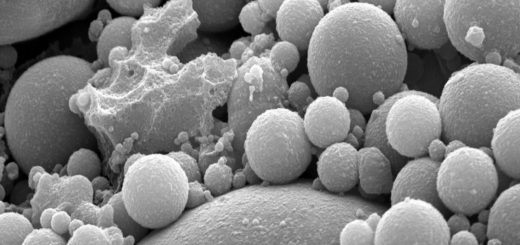 fly ash particles