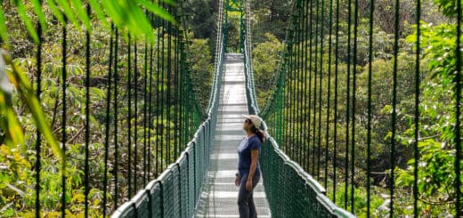 suspension bridges